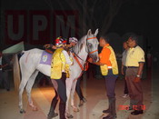 MERS Endurance Ride 2005
