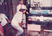 Kursus Asas Hidroponik