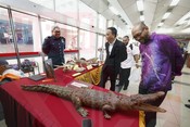 Program Bulan Sains Terbuka 2025