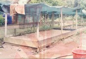Aktiviti Penyelidikan & Latihan Bahagian Ladang