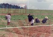 Aktiviti Penyelidikan & Latihan Bahagian Ladang