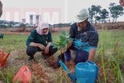 Go Green Ekspres – Green Roots, Greener Future