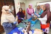 Inisiatif UPM Latih Komuniti Pulau Pangkor Dalam Teknologi Penanaman Cendawan