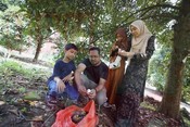Pick On Your Own (POYO) Julai 2025
