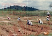 Aktiviti Penyelidikan & Latihan Bahagian Ladang