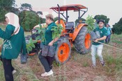 Go Green Ekspres – Green Roots, Greener Future