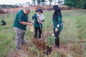 Go Green Ekspres – Green Roots, Greener Future