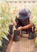 Aktiviti Penyelidikan & Latihan Bahagian Ladang