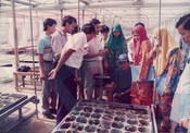 Kursus Asas Hidroponik