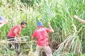 Jom Turun Ladang