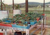 Aktiviti Penyelidikan & Latihan Bahagian Ladang