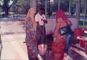 Kursus Asas Hidroponik